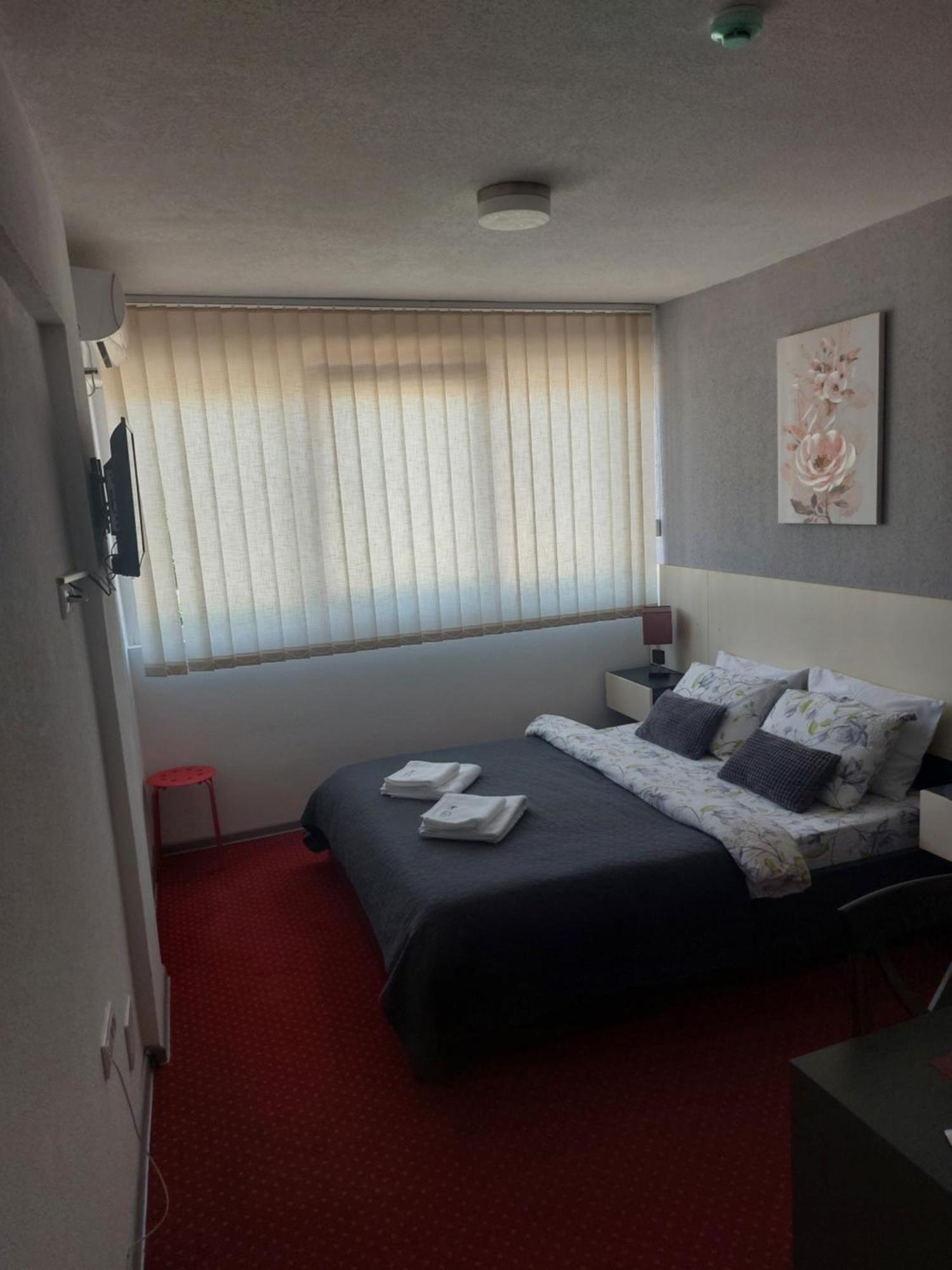 S&s Milicevic U Strogom Centru Aleksandrovca Apartment
