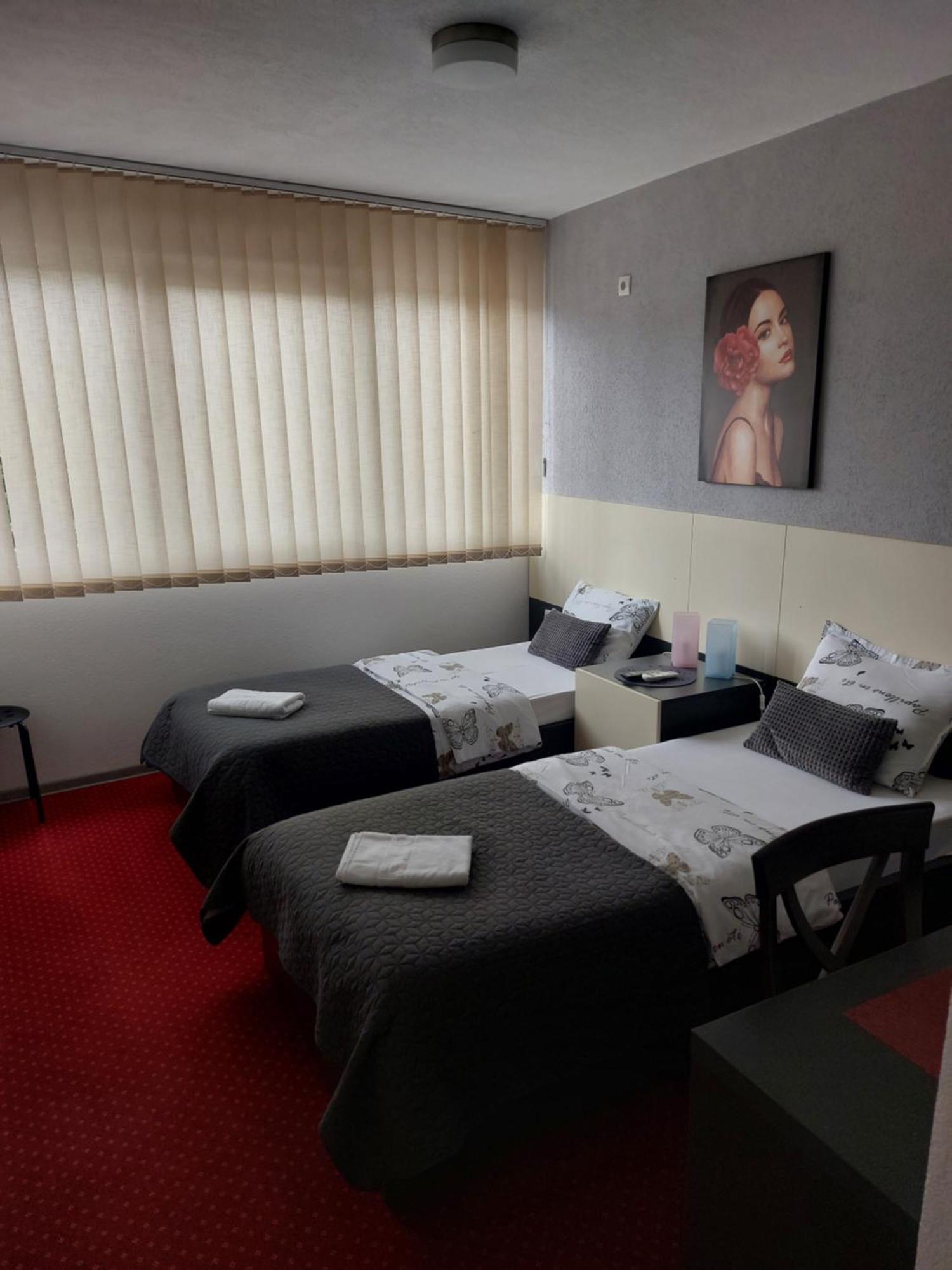 S&s Milicevic U Strogom Centru Aleksandrovca Apartment Aleksandrovac